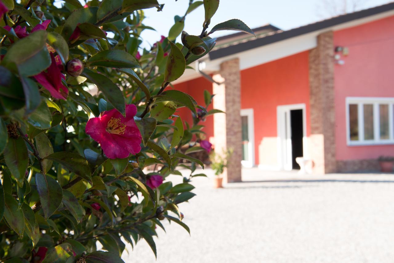 Tenuta La Vigna Malgesso ภายนอก รูปภาพ